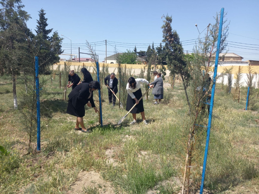 Qaradağda keçirilən iməcilik zamanı təmizlik və abadlıq işləri aparılıb 