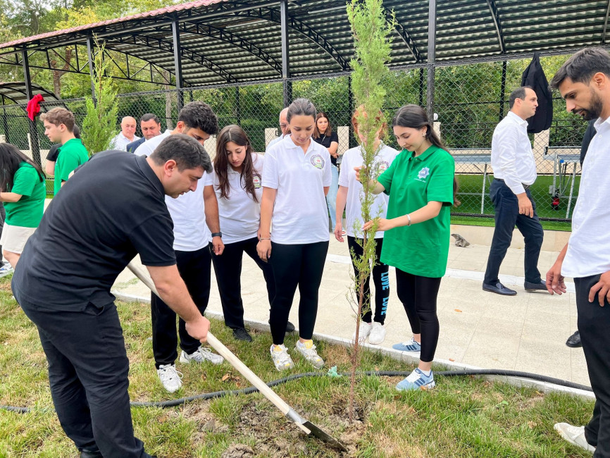 Yay məktəbi çərçivəsində ağacəkmə aksiyası keçirilib